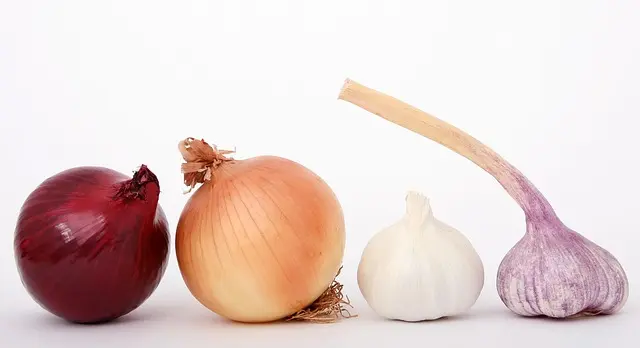 10 técnicas básicas para cocinar como un chef