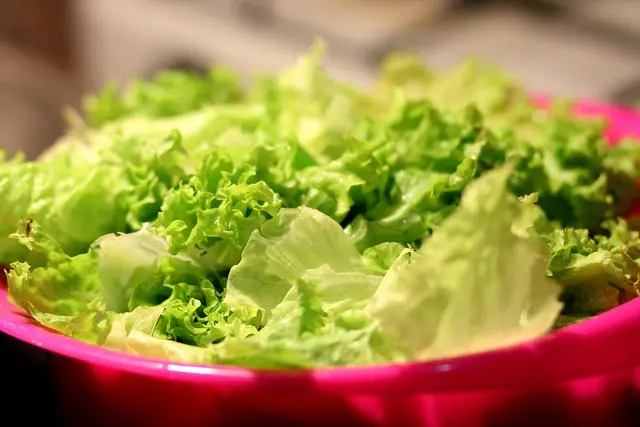 Cómo preparar un caldo de verduras nutritivo: receta y consejos
