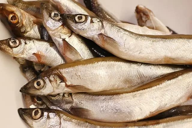 Cómo hacer un ceviche perfecto: receta y secretos del chef