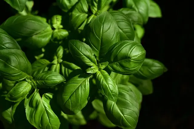 Las Mejores Técnicas de Cocina que Todo Chef Debe Conocer