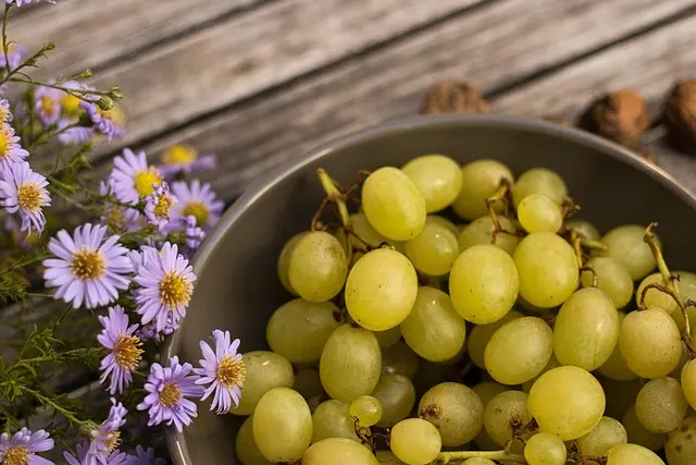 Cómo hacer una tarta de frutas perfecta: receta y secretos