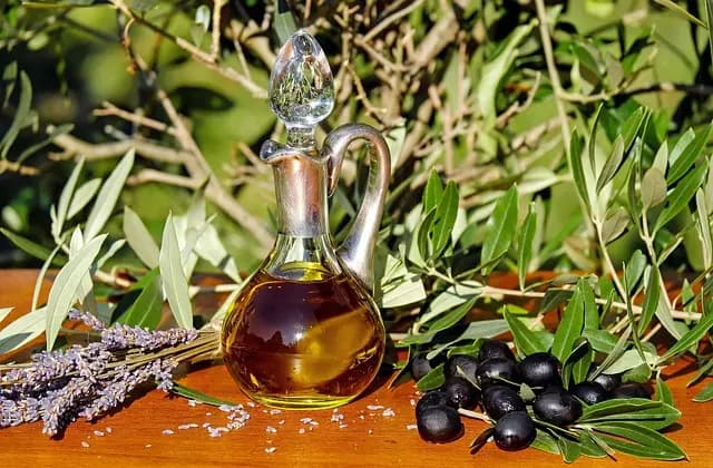 Consejos para Elegir el Mejor Aceite de Oliva para tus Recetas