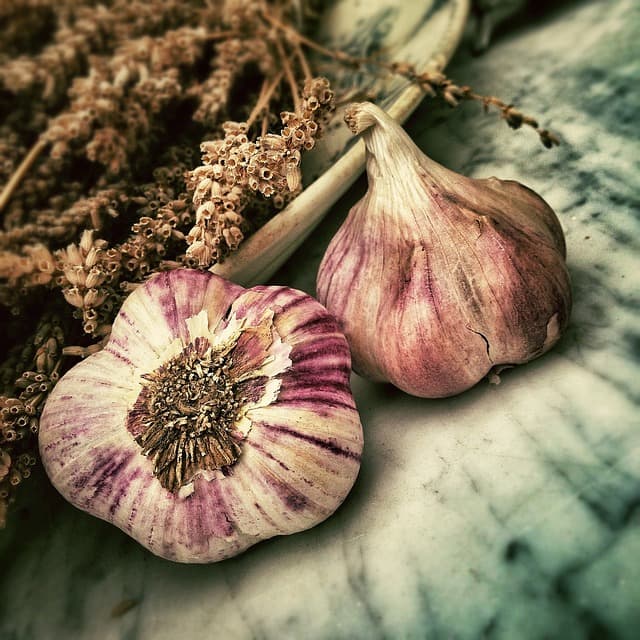 Cómo elegir los mejores ingredientes para tus recetas