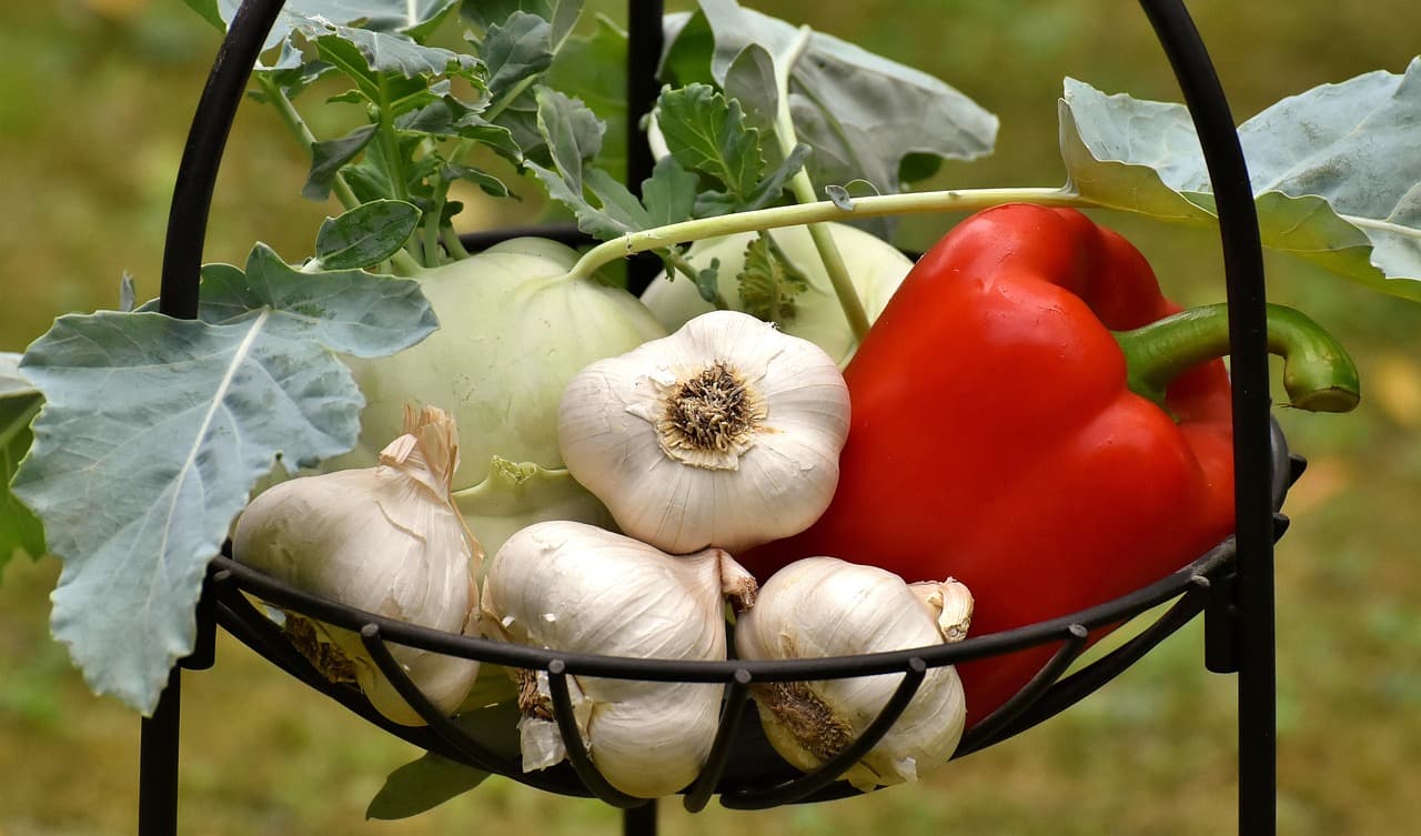 Cómo hacer un buen caldo de verduras: receta y consejos