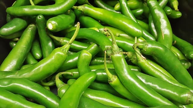 Cómo hacer una salsa de tomate perfecta: recetas y secretos