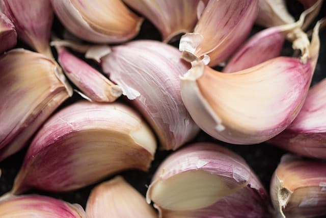 Cómo elegir las mejores especias para tus recetas