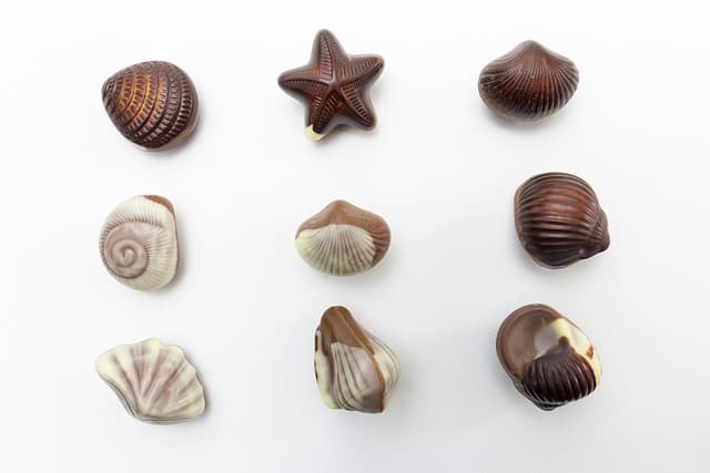 Cómo hacer un bizcocho de chocolate perfecto: receta y secretos